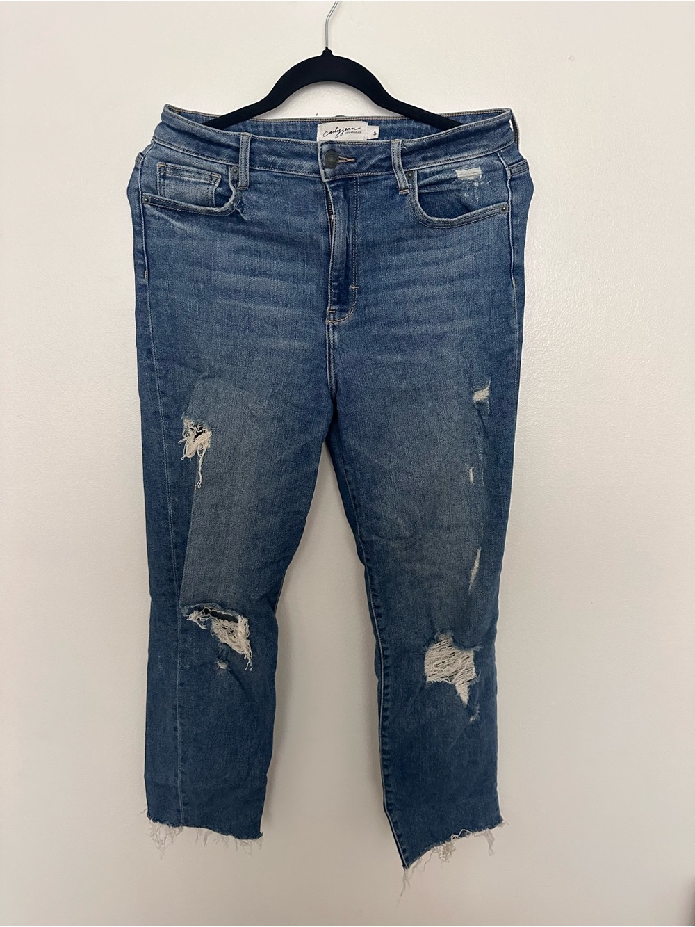 Carly Jean Los Angeles Distressed Blue Boyfriend Jeans